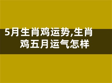 5月生肖鸡运势,生肖鸡五月运气怎样