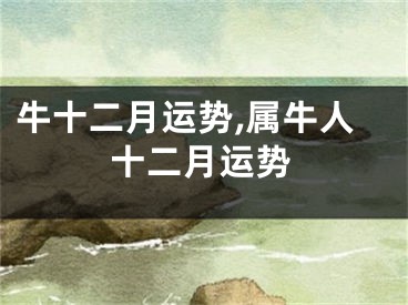 牛十二月运势,属牛人十二月运势