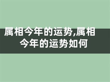 属相今年的运势,属相今年的运势如何