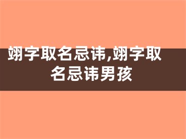 翊字取名忌讳,翊字取名忌讳男孩