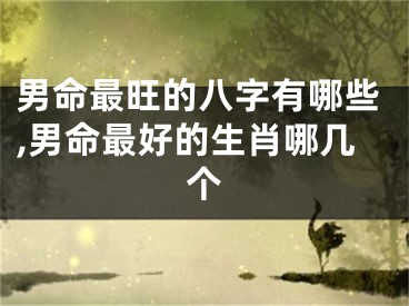 男命最旺的八字有哪些,男命最好的生肖哪几个