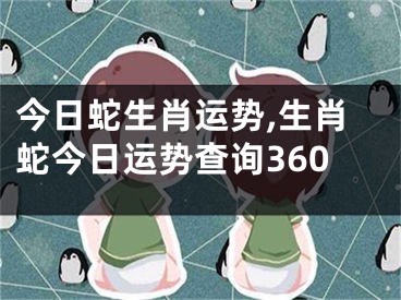今日蛇生肖运势,生肖蛇今日运势查询360