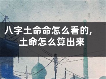 八字土命命怎么看的,土命怎么算出来