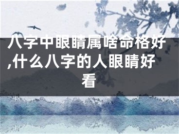 八字中眼睛属啥命格好,什么八字的人眼睛好看