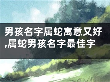男孩名字属蛇寓意又好,属蛇男孩名字最佳字