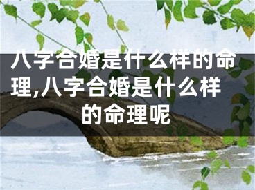 八字合婚是什么样的命理,八字合婚是什么样的命理呢