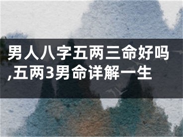 男人八字五两三命好吗,五两3男命详解一生