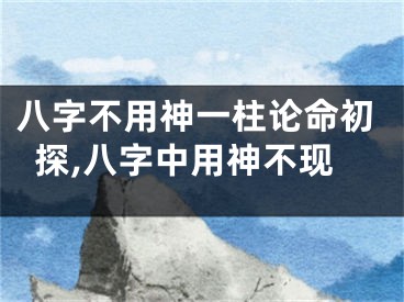 八字不用神一柱论命初探,八字中用神不现