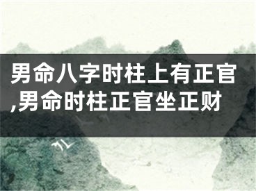 男命八字时柱上有正官,男命时柱正官坐正财
