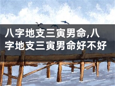 八字地支三寅男命,八字地支三寅男命好不好