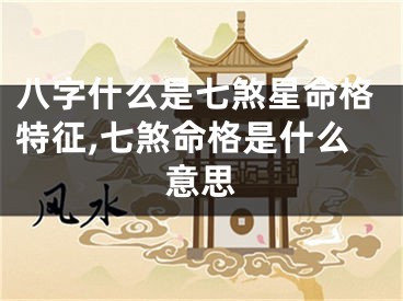 八字什么是七煞星命格特征,七煞命格是什么意思