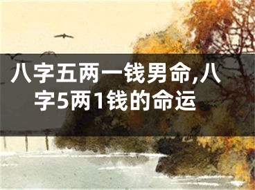 八字五两一钱男命,八字5两1钱的命运