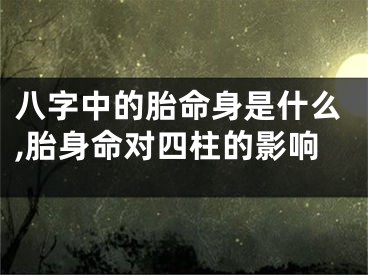 八字中的胎命身是什么,胎身命对四柱的影响