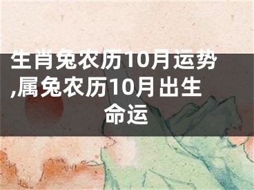 生肖兔农历10月运势,属兔农历10月出生命运