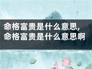 命格富贵是什么意思,命格富贵是什么意思啊
