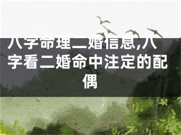 八字命理二婚信息,八字看二婚命中注定的配偶