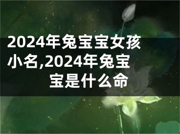 2024年兔宝宝女孩小名,2024年兔宝宝是什么命