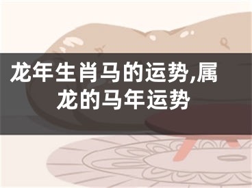 龙年生肖马的运势,属龙的马年运势