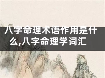 八字命理术语作用是什么,八字命理学词汇