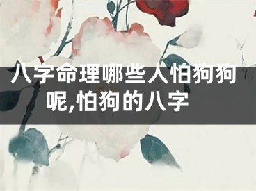 八字命理哪些人怕狗狗呢,怕狗的八字