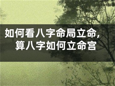如何看八字命局立命,算八字如何立命宫