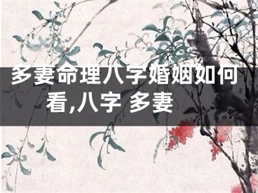 多妻命理八字婚姻如何看,八字 多妻