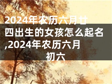 2024年农历六月廿四出生的女孩怎么起名,2024年农历六月初六