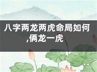 八字两龙两虎命局如何,俩龙一虎