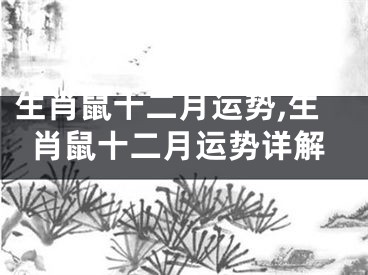 生肖鼠十二月运势,生肖鼠十二月运势详解