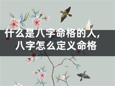 什么是八字命格的人,八字怎么定义命格
