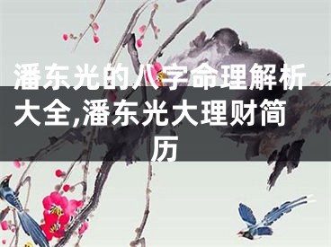 潘东光的八字命理解析大全,潘东光大理财简历