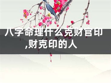 八字命理什么克财官印,财克印的人