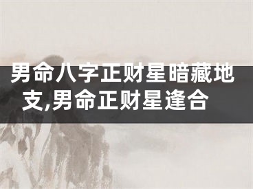 男命八字正财星暗藏地支,男命正财星逢合