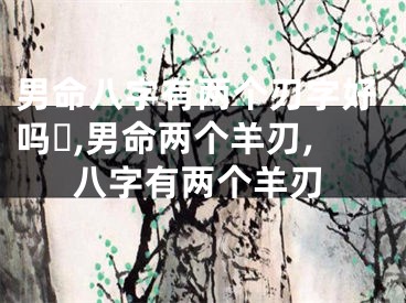男命八字有两个刃字好吗☘,男命两个羊刃,八字有两个羊刃