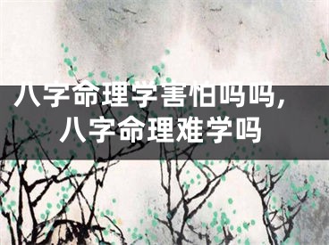 八字命理学害怕吗吗,八字命理难学吗