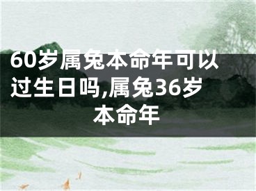 60岁属兔本命年可以过生日吗,属兔36岁本命年