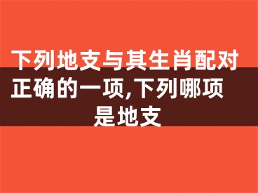 下列地支与其生肖配对正确的一项,下列哪项是地支