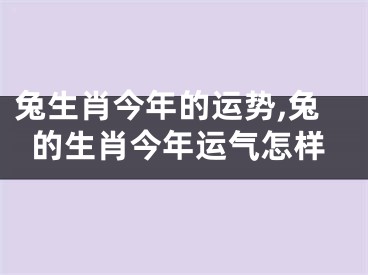 兔生肖今年的运势,兔的生肖今年运气怎样