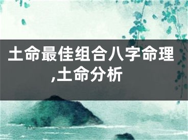 土命最佳组合八字命理,土命分析