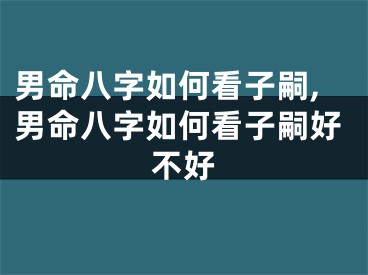 男命八字如何看子嗣,男命八字如何看子嗣好不好