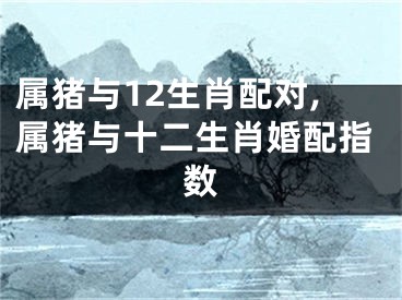 属猪与12生肖配对,属猪与十二生肖婚配指数