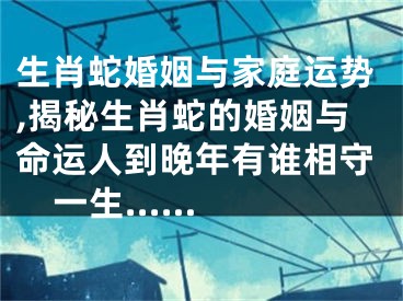 生肖蛇婚姻与家庭运势,揭秘生肖蛇的婚姻与命运人到晚年有谁相守一生......