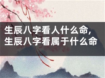 生辰八字看人什么命,生辰八字看属于什么命