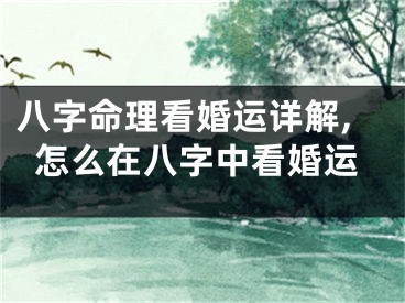 八字命理看婚运详解,怎么在八字中看婚运
