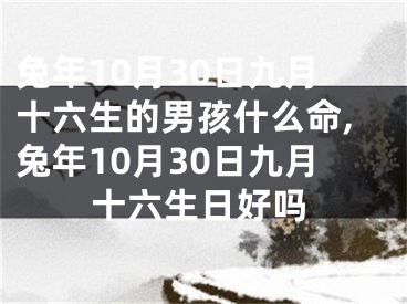 兔年10月30日九月十六生的男孩什么命,兔年10月30日九月十六生日好吗