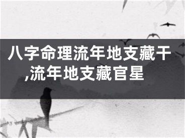 八字命理流年地支藏干,流年地支藏官星