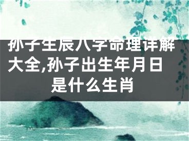 孙子生辰八字命理详解大全,孙子出生年月日是什么生肖