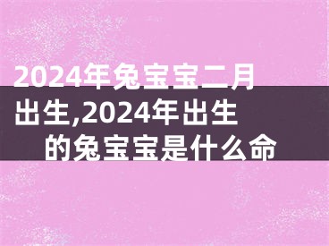 2024年兔宝宝二月出生,2024年出生的兔宝宝是什么命