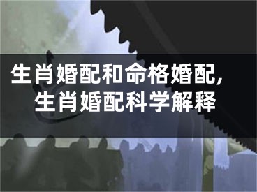 生肖婚配和命格婚配,生肖婚配科学解释