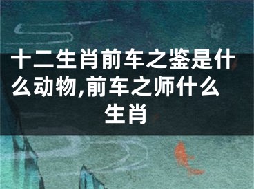 十二生肖前车之鉴是什么动物,前车之师什么生肖
